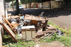 IMG_8445 cópia