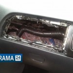 igran_DROGAS (30)