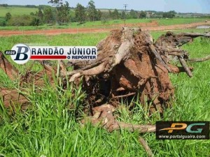 IPORA-FILHO-DE-2-ANOS-E-RAPATDO-PELO-PAI-E-ENCONTRADO-AMORDACADO-2-600x450