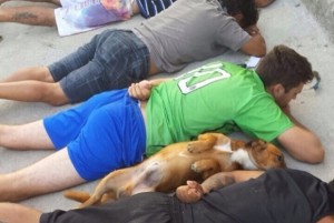Foto: O Dia