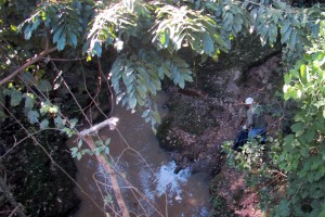 IMG_2808 cópia