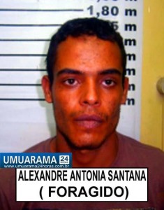 igran_ALEXANDRE (01)