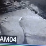 assalto02