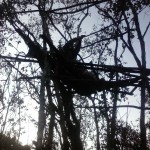 IMG-20150717-WA0048