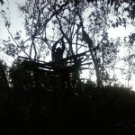 IMG-20150717-WA0050